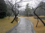 太子湾阴雨小路
