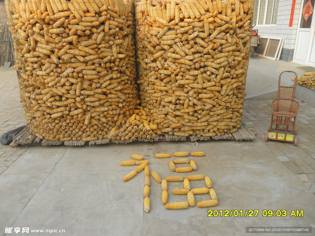 玉米组成福字
