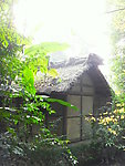 茅屋