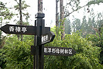 公园里的方向牌 木方向牌