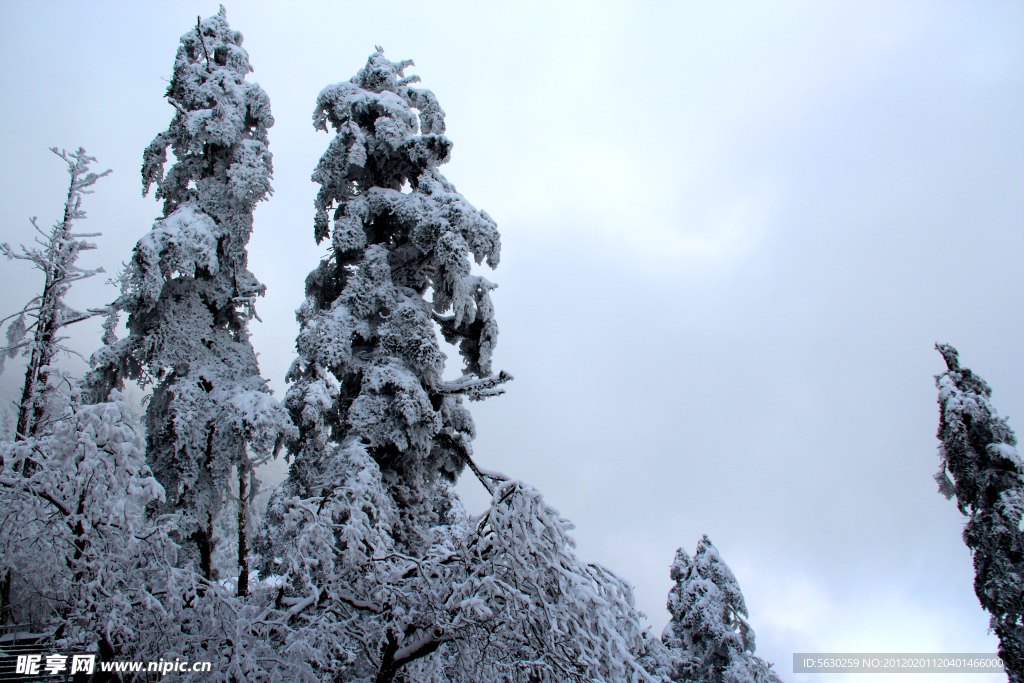 雪景 峨眉山