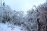 雪景 峨眉山
