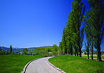 道路
