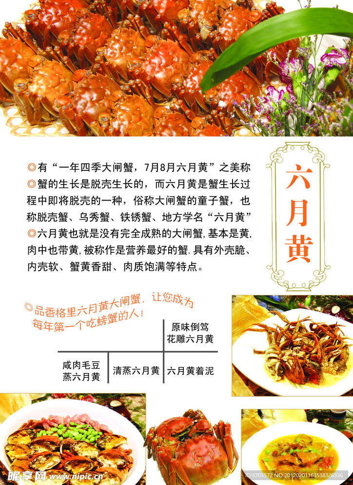 阳澄湖大闸蟹