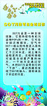 海洋X展架