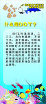 X展架 海洋