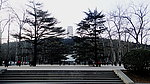 广场锻炼