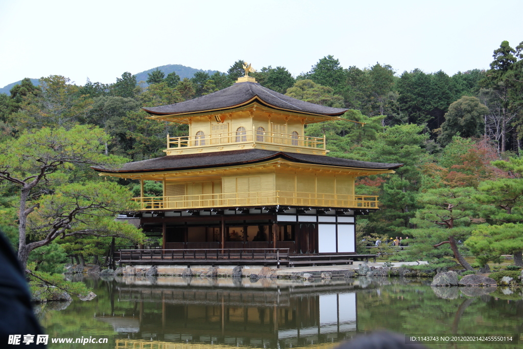 日本旅游 金阁寺