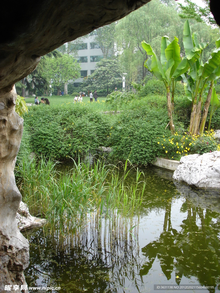 上海静安寺公园照片