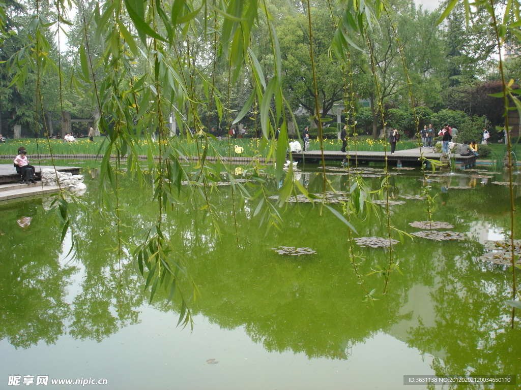 公园景观参考图片