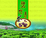 碧螺春