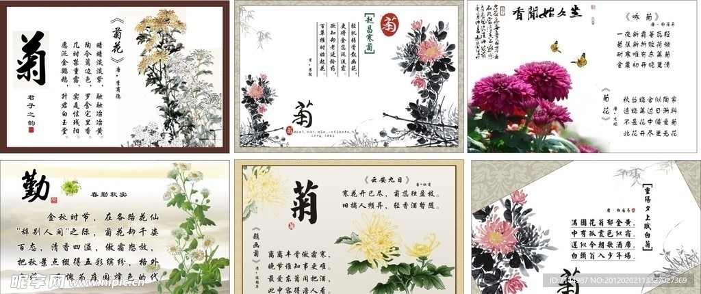咏菊