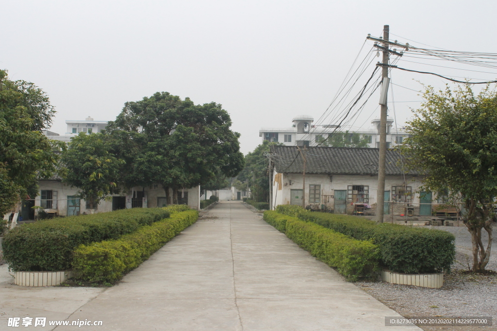 美丽 校园