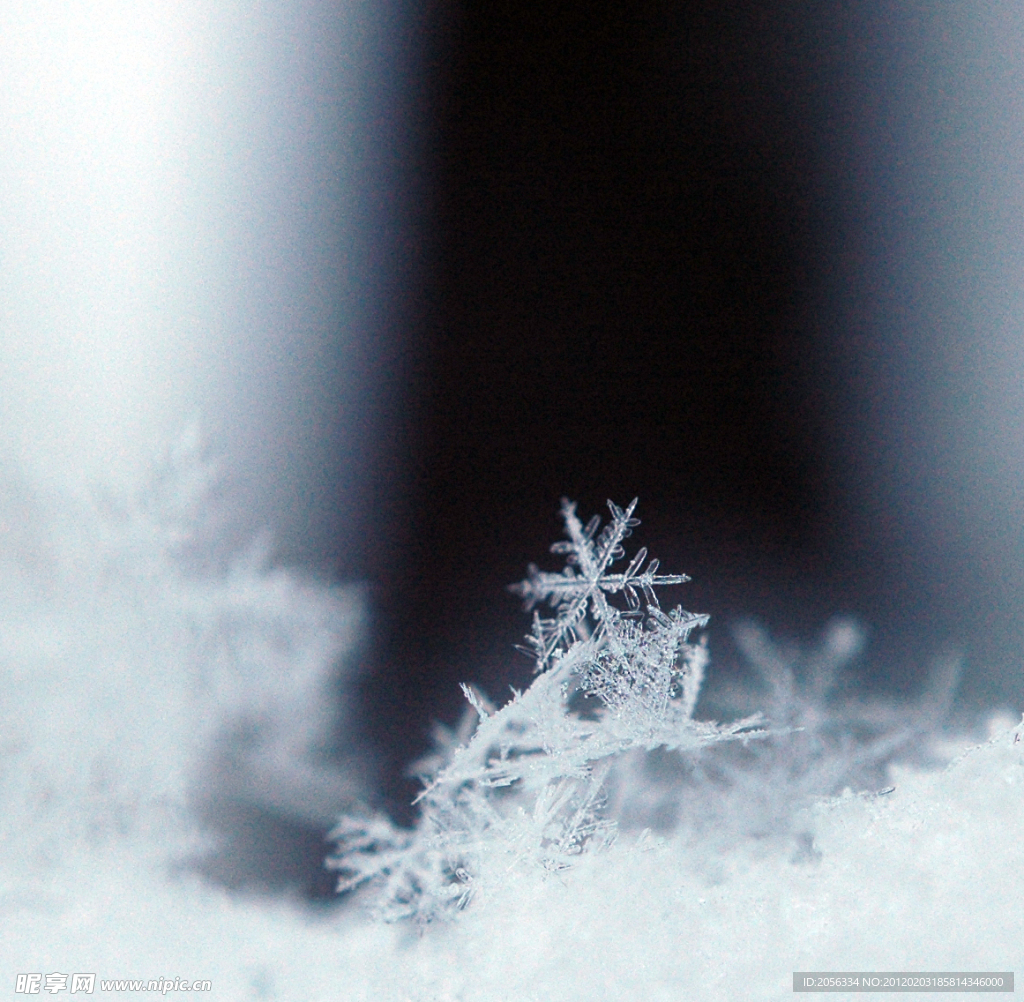 雪花