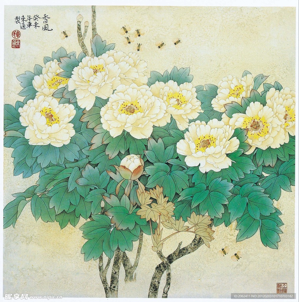 国画牡丹