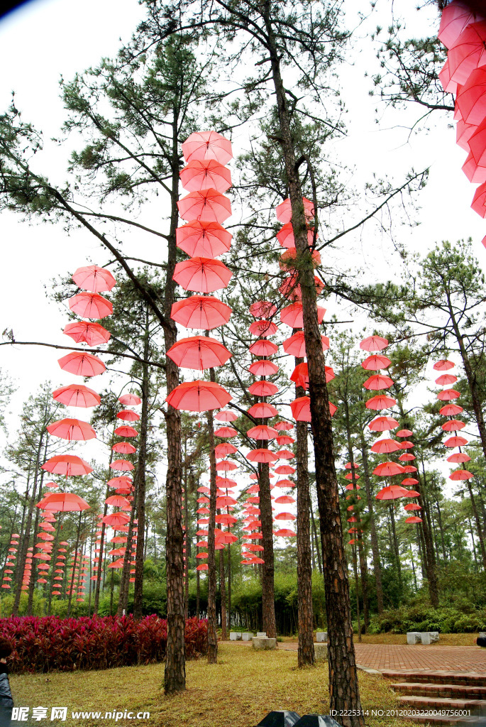 春节气氛 红伞