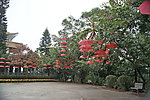 春节气氛 红伞
