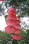 春节气氛 红伞
