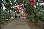 春节气氛 红伞