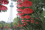 春节气氛 红伞