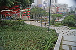 红伞