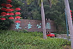 红伞