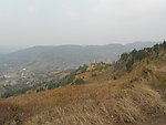 家乡美景