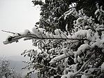 雪景