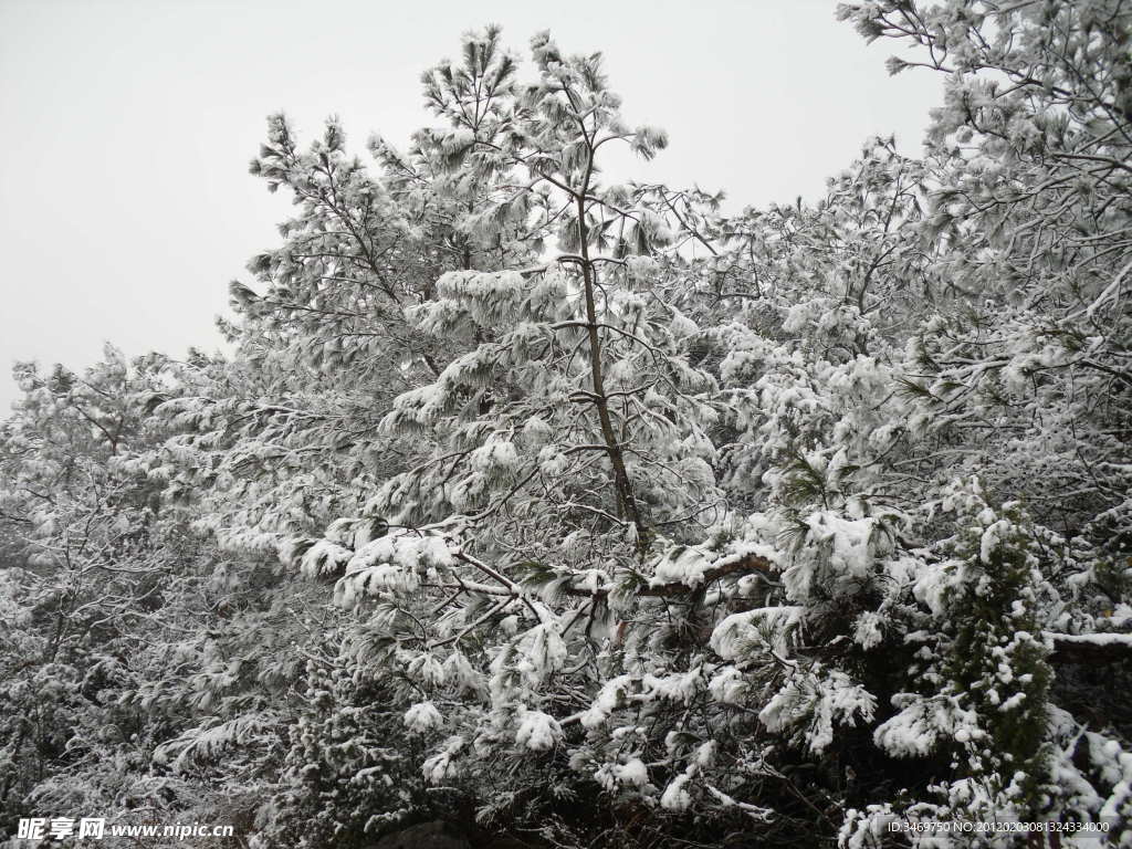 雪景