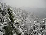 山顶上的雪景