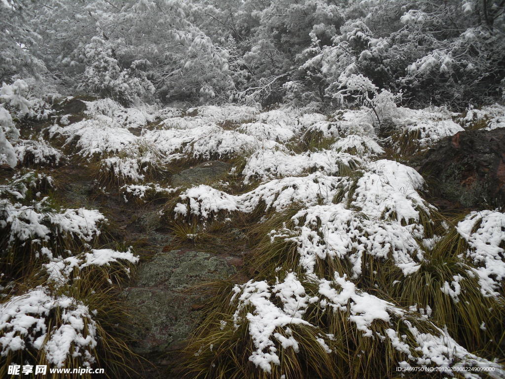 雪景