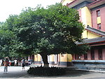 桂林旅游照片