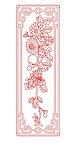 抽屉菊