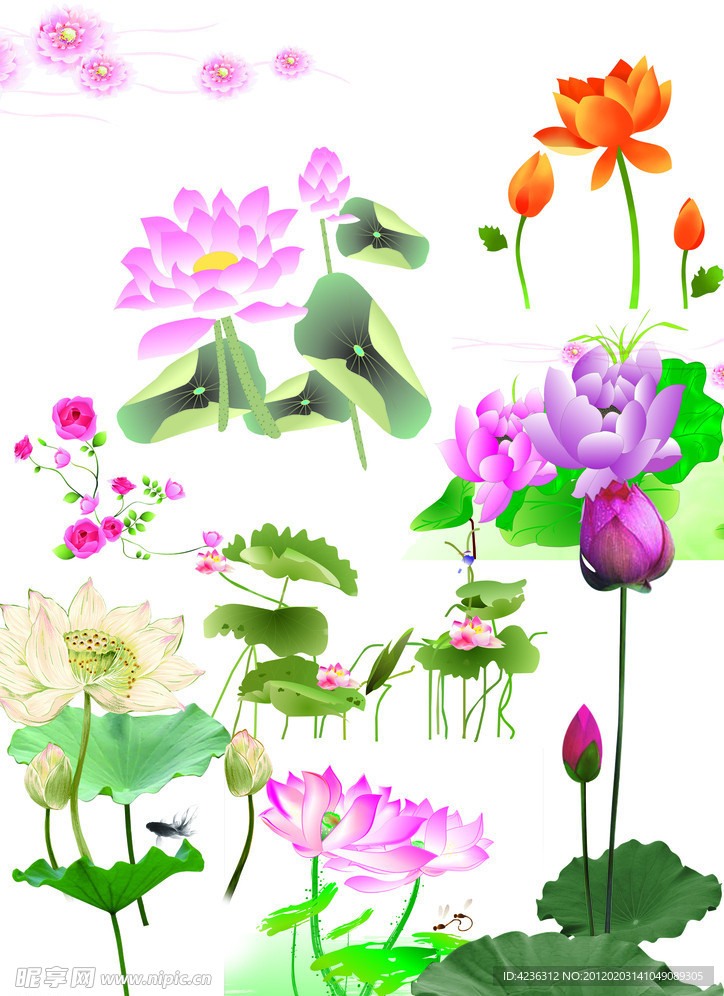 莲花图集