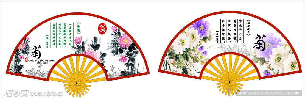 菊花扇子图
