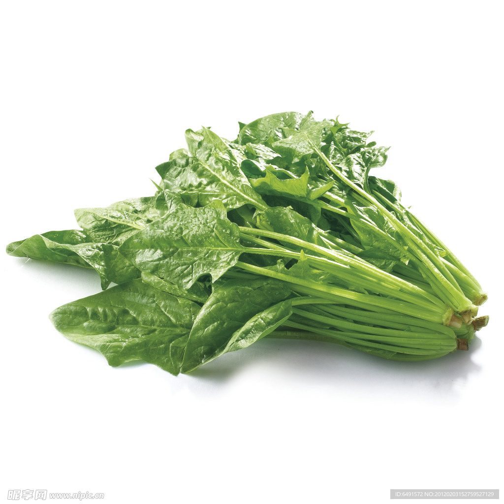 波菜