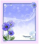 银莲花