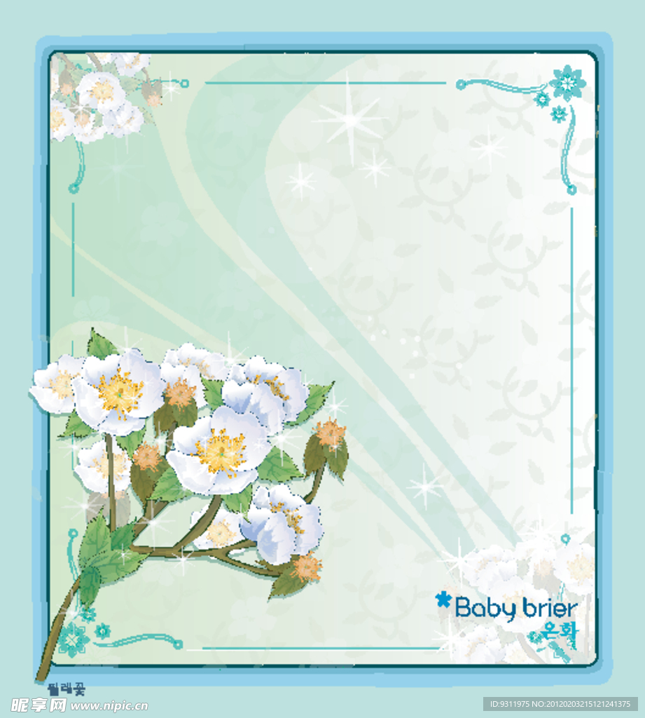 野蔷薇