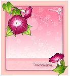 牵牛花