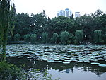 公园景观参考图片