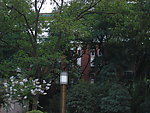 合肥包河公园照片