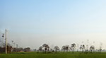 田野 焦桐