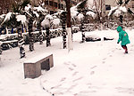 美雪
