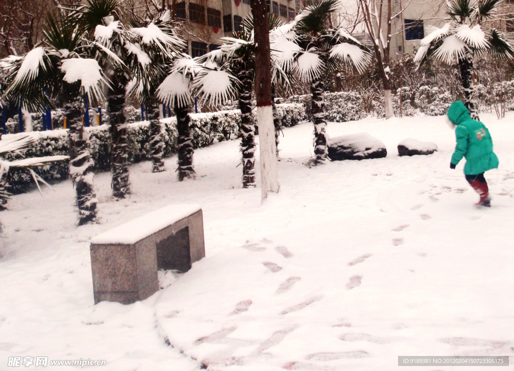 美雪