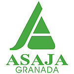 LOGO标识