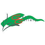 LOGO标识