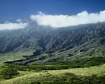 青山