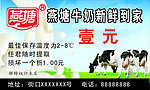 燕塘牛奶名片