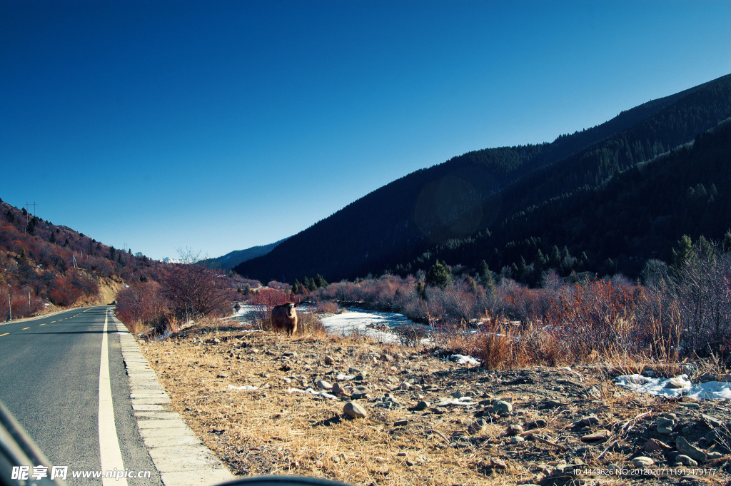 刷马路风景