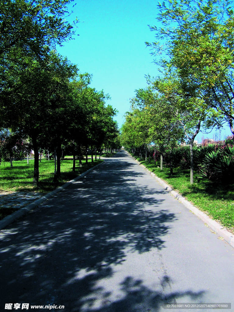 厂区马路